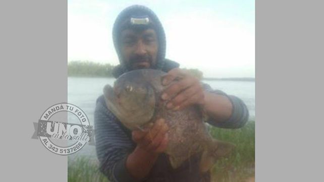 Esta S Es Una Palometa Gigante