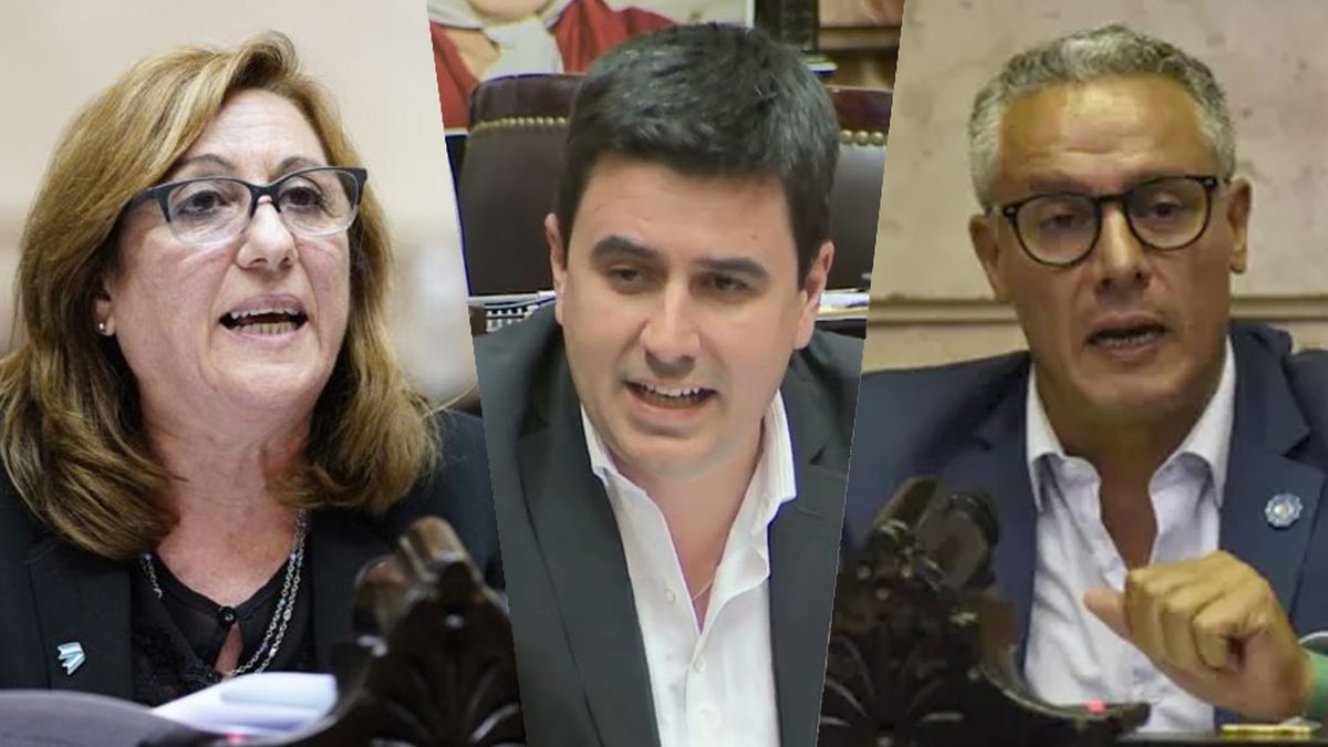 Qu Esperan Los Diputados Santafesinos Del Inminente Discurso De Milei