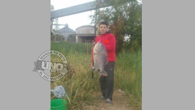 Esta S Es Una Palometa Gigante