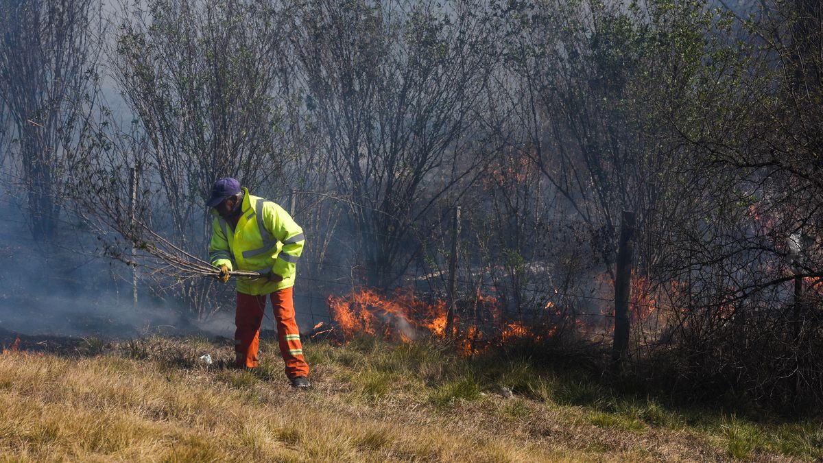 Incendios En Las Islas Aunque No Se Note Entre R Os Est Haciendo