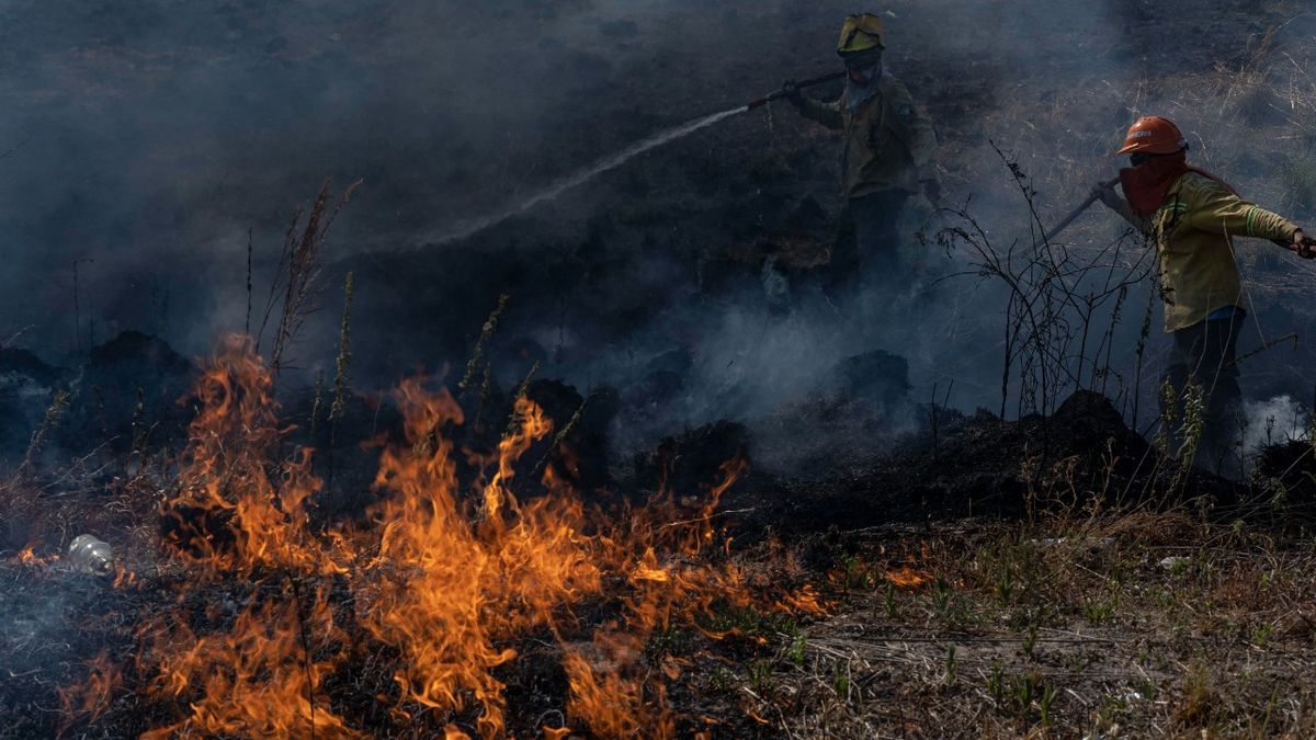 Aseguran Que Los Incendios En Corrientes Ya Arrasaron Con M S De