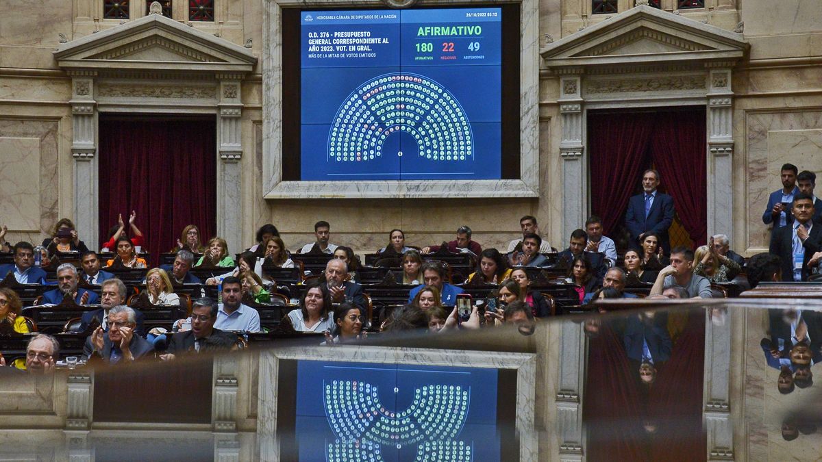 El debate por las Paso también divide las aguas entre los diputados