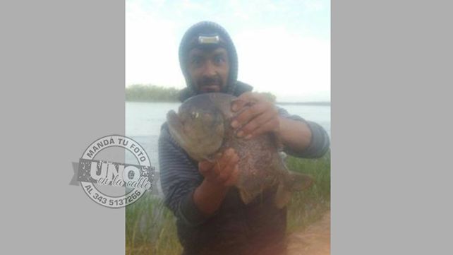 Esta S Es Una Palometa Gigante