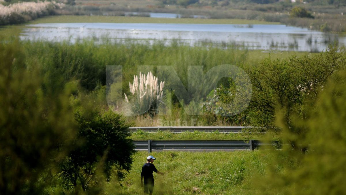 Realizar N Una Limpieza Masiva En La Reserva Natural Urbana Del Oeste