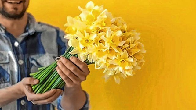 Flores Amarillas Para Regalar Este 21 De Septiembre