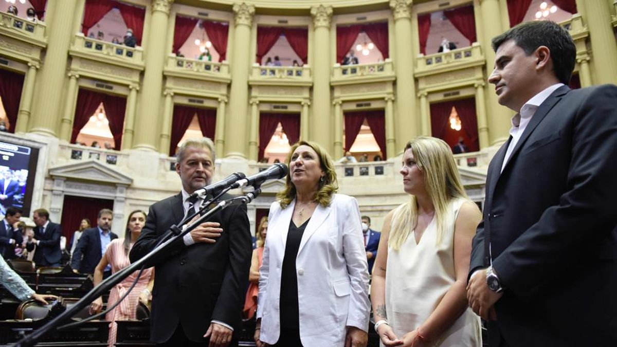 Juraron los nuevos diputados santafesinos hubo menciones a Alfonsín