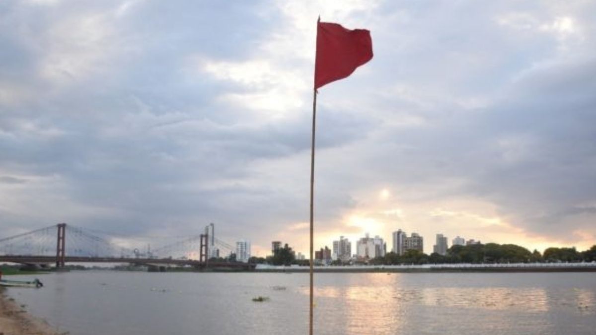 Ataque De Palometas En La Costanera Este Piden Respetar Las Rdenes De