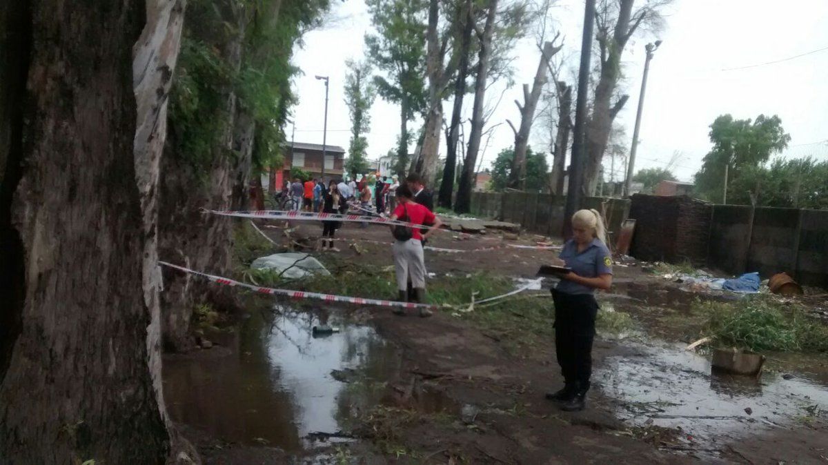 Un Hombre Murió Al Ser Aplastado Por Un árbol Que Se Desplomó A Causa De Los Fuertes Vientos 1281