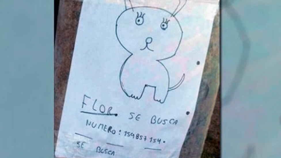 El afiche con el que los mellizos buscan a su perrita perdida.&nbsp;