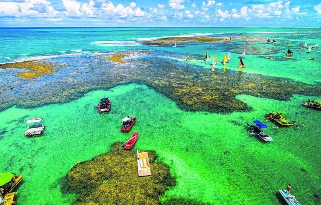 Porto De Galinhas Te Espera Para Disfrutar