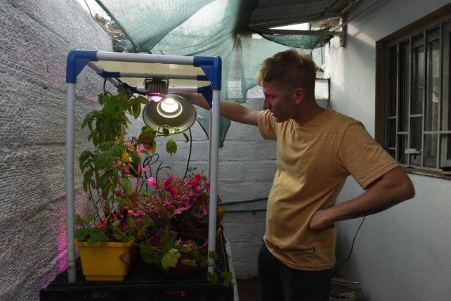 Santiago diseÃ±Ã³ un vivero electrÃ³nico con tecnologÃ­a LED