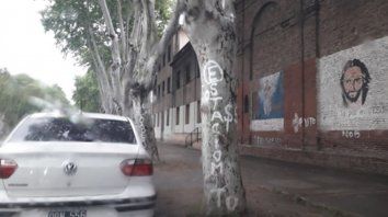 Valores al paso. Los montos, inscriptos sobre los plátanos. Valores al paso. Los montos, inscriptos sobre los plátanos.