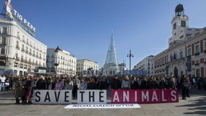 Puerta del sol. Lugar donde marcharon ayer defensores de animales. Puerta del sol. Lugar donde marcharon ayer defensores de animales.