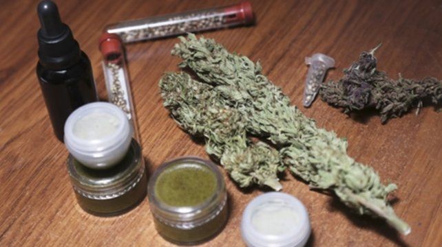 Opción. El cannabis medicinal se utiliza como alternativa a terapias que abordan distintas patologías.    