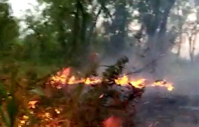 Las impactantes imágenes de los incendios en las islas entrerrianas
