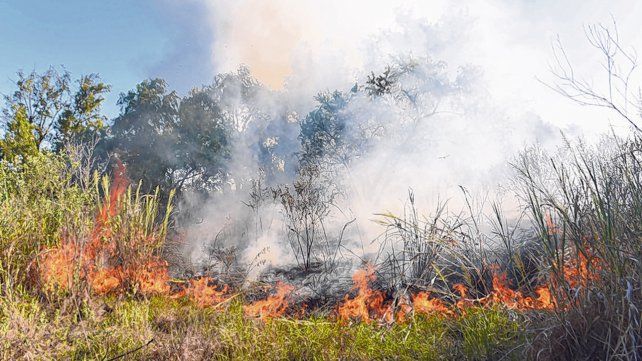 Descontrol. Los incendios se propagan en las islas, año tras año, sin que aparezcan soluciones efectivas.