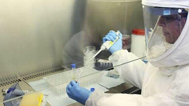 Llegaron los reactivos para hacer 31 mil pruebas de coronavirus y se distribuirán en las provincias