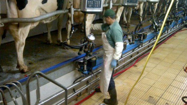Gestión. El gobierno santafesino convocó al sector primario e industrial para seguir trabajando en las Mesas de Lechería frente a esta coyuntura.