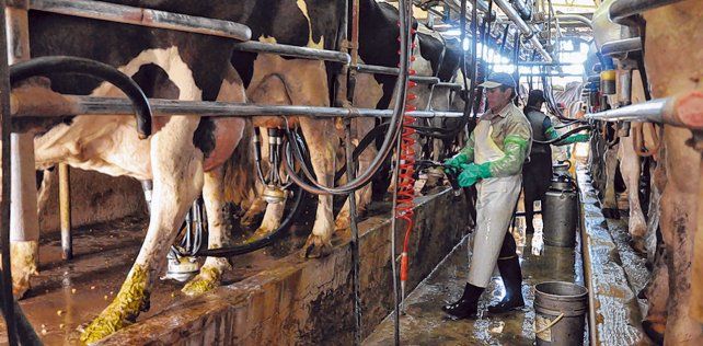 Usos. Los tambos pueden producir energía derivada de la biomasa.