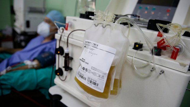La donación de sangre con separación de plasma por tratamiento de aféresis.
