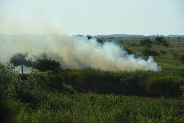 En el sector de islas entrerrianas frente a Rosario no podrán quemarse pastizales durante seis meses.