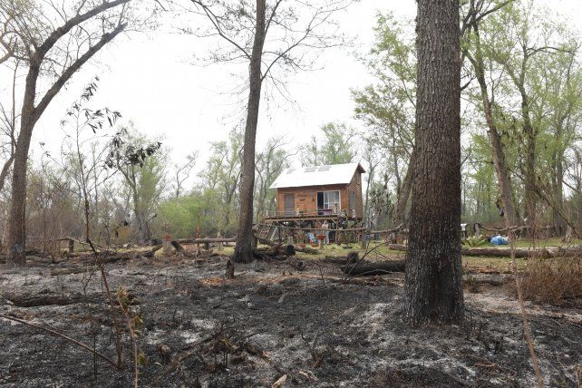 El delta arde: estiman que hay unas 200 mil hectáreas bajo cenizas