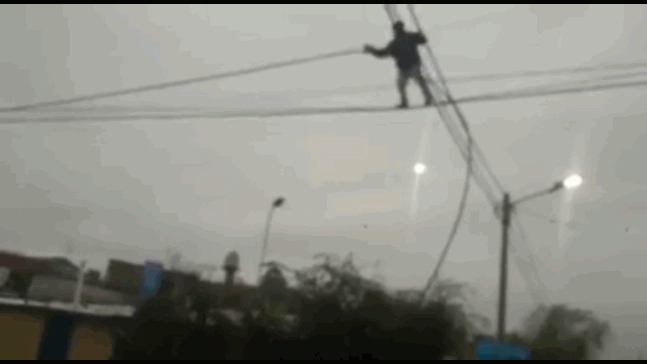 El viral más equilibrado: un ladrón que bien podría trabajar en un circo