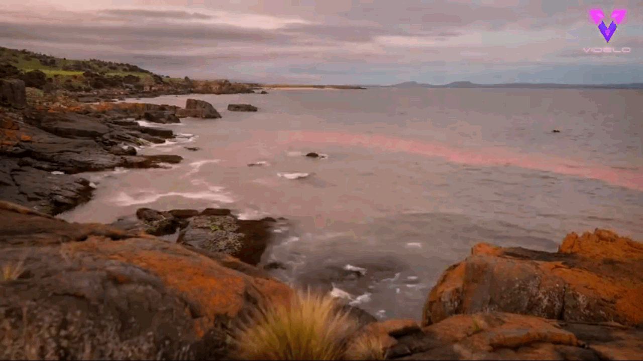 Imperdible video: una playa de Tasmania tiene un mar que cambia de color