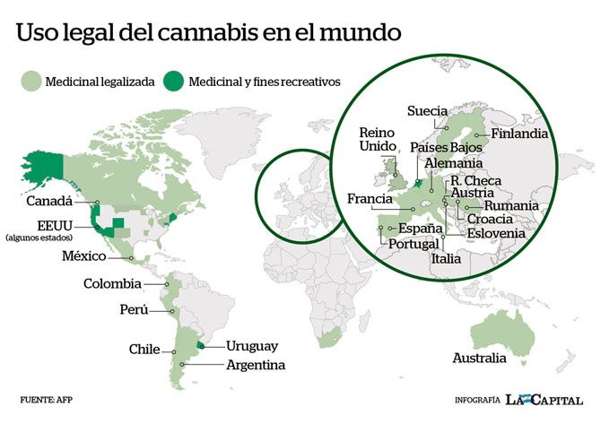 La Legalización Del Cultivo De Cannabis Y Los Beneficios De Su Uso Medicinal 