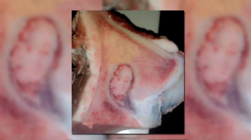 Conmoción en San Juan: apareció una imagen de la Virgen... ¡en un osobuco! Conmoción en San Juan: apareció una imagen de la Virgen... ¡en un osobuco!