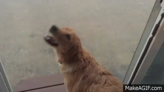 ¿Cómo entretener a los chicos? 15 juegos para días de lluvia