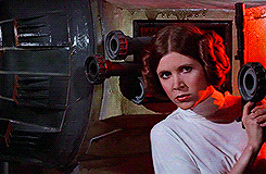 La extraña urna donde enterraron los restos de Carrie Fisher