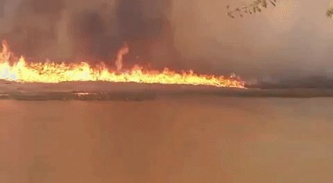 Ardió Saladero: las impactantes imágenes del la quema de pastizales en el paraíso costero