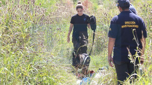 Los rastrillajes se llevan adelante en una zona de frondosa vegetación.