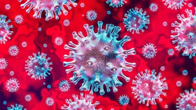virus covid-19