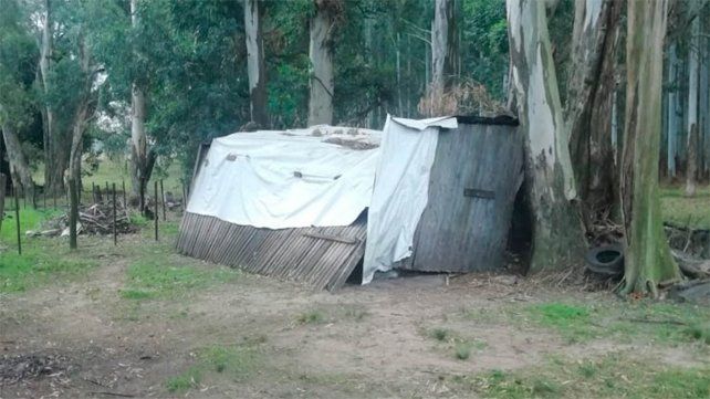 Dormían en camas de alfalfa y no comían hacía días: Detuvieron a ex viceintendente entrerriano
