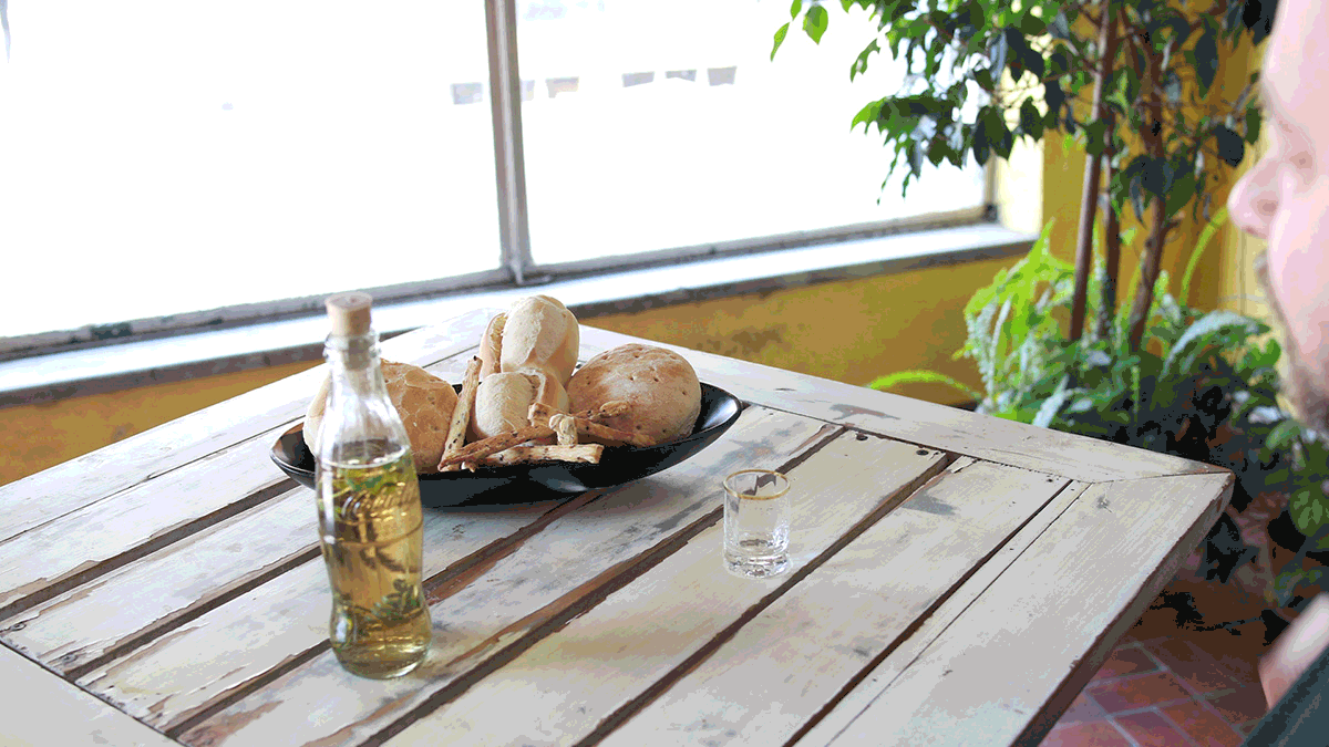 cana con ruda, en ayunas, una tradicion de cada 1° de agosto cana con ruda, en ayunas, una tradicion de cada 1° de agosto