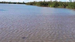 El cuerpo fue encontrado en una laguna en la zona rural de Gilbert.