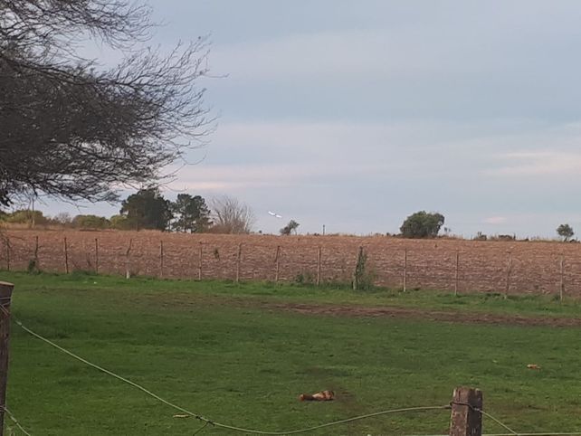 Una vecina sacó la foto de la avioneta y la compartió entre las personas que viven en La Picada.&nbsp;