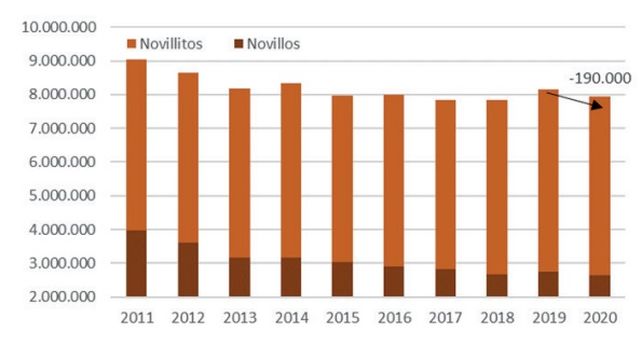 Novillos y Novillitos registrados en la segunda campaña de vacunación de Antiaftosa. Fuente SENASA