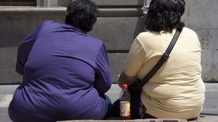 Efecto contrario: los edulcorantes artificiales provocarían obesidad
