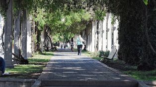 Coronavirus en Santa Fe: finaliza la peor semana con el número más alto de contagios en un día