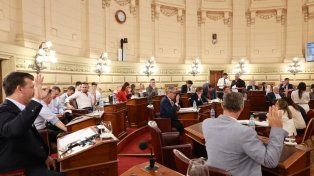 Histórico: Santa Fe ya tiene media sanción para la Ley de Autonomía Municipal