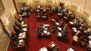 En el día de hoy avanza el presupuesto 2014 en el Senado