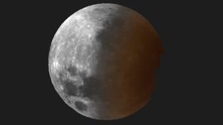 Se viene un nuevo eclipse de Luna