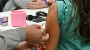 Vacuna antigripal: el próximo 10 de marzo comienza la campaña de inmunización