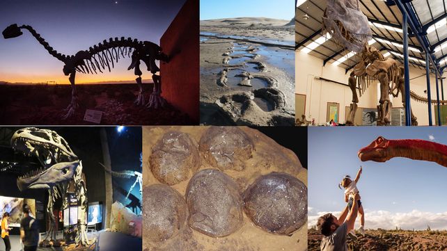 Argentina cuenta con un asombroso patrimonio paleontológico y geológico en yacimientos