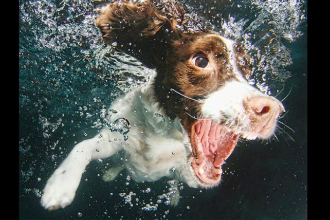 Diversión bajo el agua