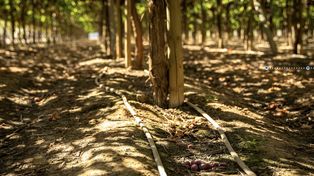 Kilimo, la climate tech que impulsa soluciones de adaptación climática para alcanzar la seguridad hídrica, celebró su décimo aniversario.