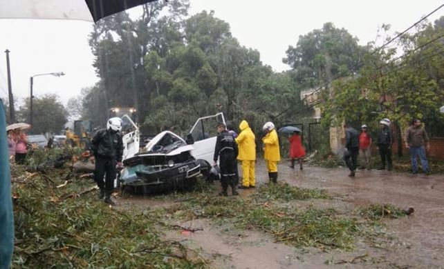 Tragedia en Tucumán: un niño murió aplastado por un árbol